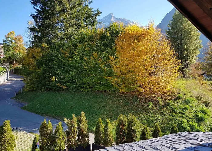 Guggerzyt Grindelwald